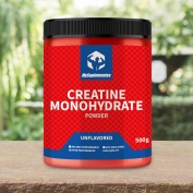 Creatine Monohydrate Powder 500g