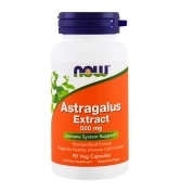 Astragalus Extract 500mg 90vcaps