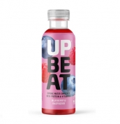 Upbeat Protein Water 500ml 